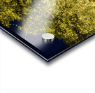 Holiday lights spectacular in Johnson City Texas Acrylic print