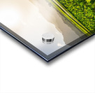 Verdant taro fields thrive under the Hawaiian sun near Hanalei B Acrylic print