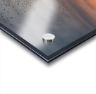 Bat watchers crowd on Congress Avenue bridge as bats fly  Acrylic print