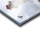 Famous Peggys Cove lightouse near Halifax in Nova Scotia Canada Acrylic print