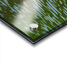 Rear view of the body of a swan reaching into the water of Elles Impression Acrylique