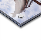 The Salmon Chief metal sculpture in Entiat City Park Washington  Acrylic print