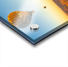 Hot air balloons in sunrise flight over Valley of the Kings in L Acrylic print