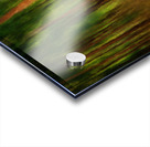 Oil painting impression of mahogany forest Acrylic print