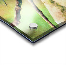 White throated mountaingem hummingbird perched on a twig  in Cos Acrylic print