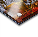 Sunset behind the Courthouse in Georgetown Texas Acrylic print