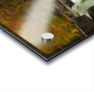 Section of Valley Falls on a misty autumn day Acrylic print