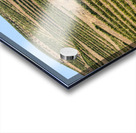 Terraced rows of vines by river Douro in Portugal Acrylic print