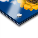 Metal sunflower against blue sky Impression Acrylique