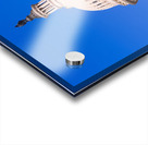 Dome of the Capitol building in Washington DC Acrylic print