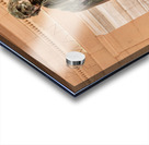 Statue of Thomas Jefferson Washington DC Acrylic print