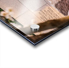 Statue at Roosevelt memorial Washington DC Acrylic print