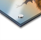 Mermaid statue entrance Ventura harbor Acrylic print