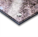 Cherry blossoms over walking trail  by the river in Morgantown W Impression Acrylique