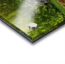  Portrait of Wilfred Owen statue in Oswestry park in Shropshire Acrylic print