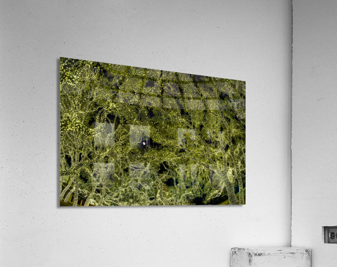 Holiday lights spectacular in trees of Johnson City Texas Acrylic Print