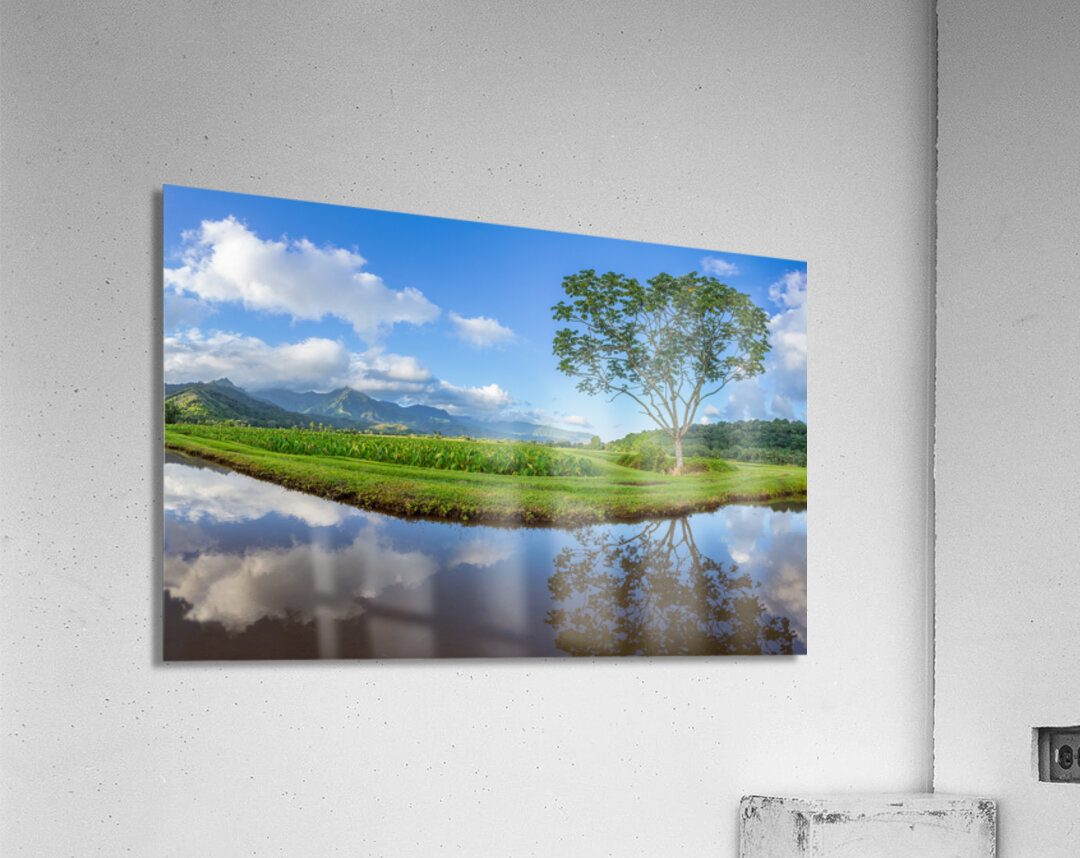 Panoramic view of Hanalei Valley in Kauai Acrylic Print