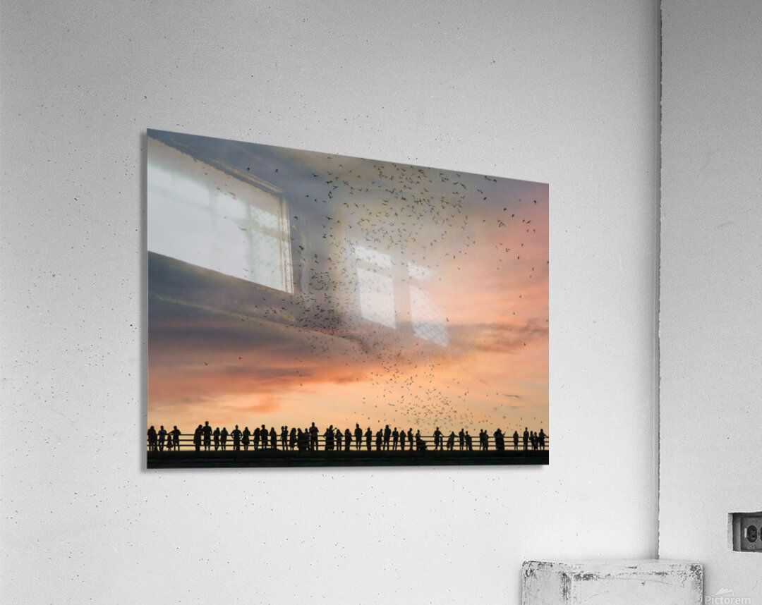 Bat watchers crowd on Congress Avenue bridge as bats fly  Acrylic Print
