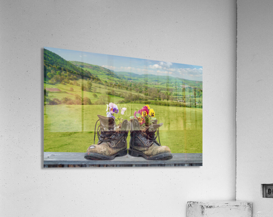 Pair of old hiking boots turned into plant pots with hill walkin Acrylic Print
