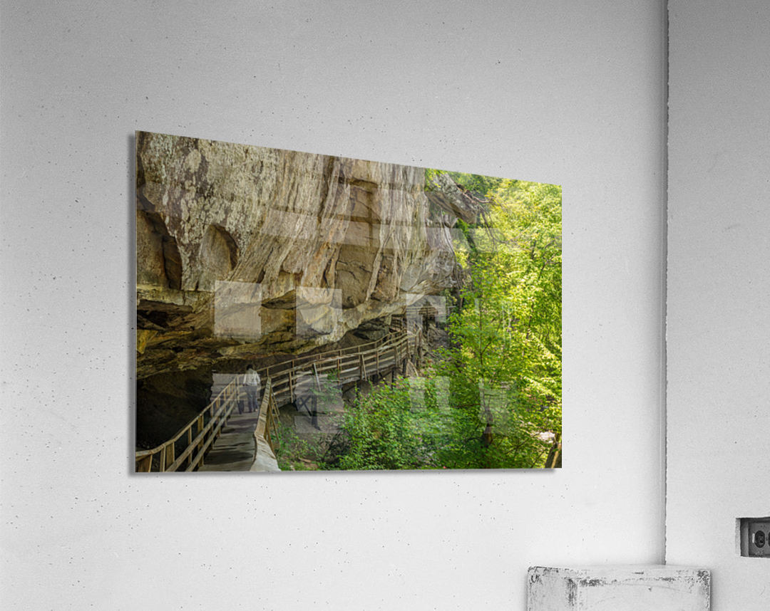 Boardwalk in Audra State Park near Buckhannon in West Virginia Acrylic Print
