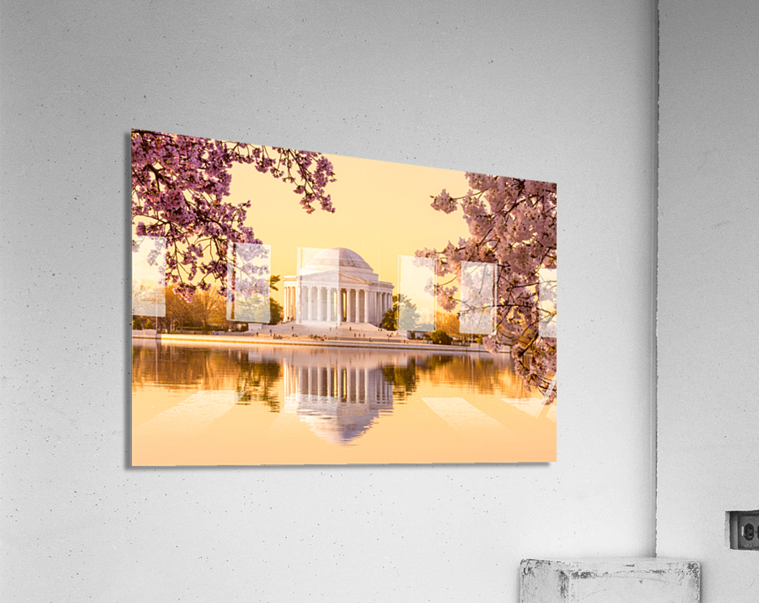 Beautiful early morning Jefferson Memorial cherry blossom yellow Acrylic Print