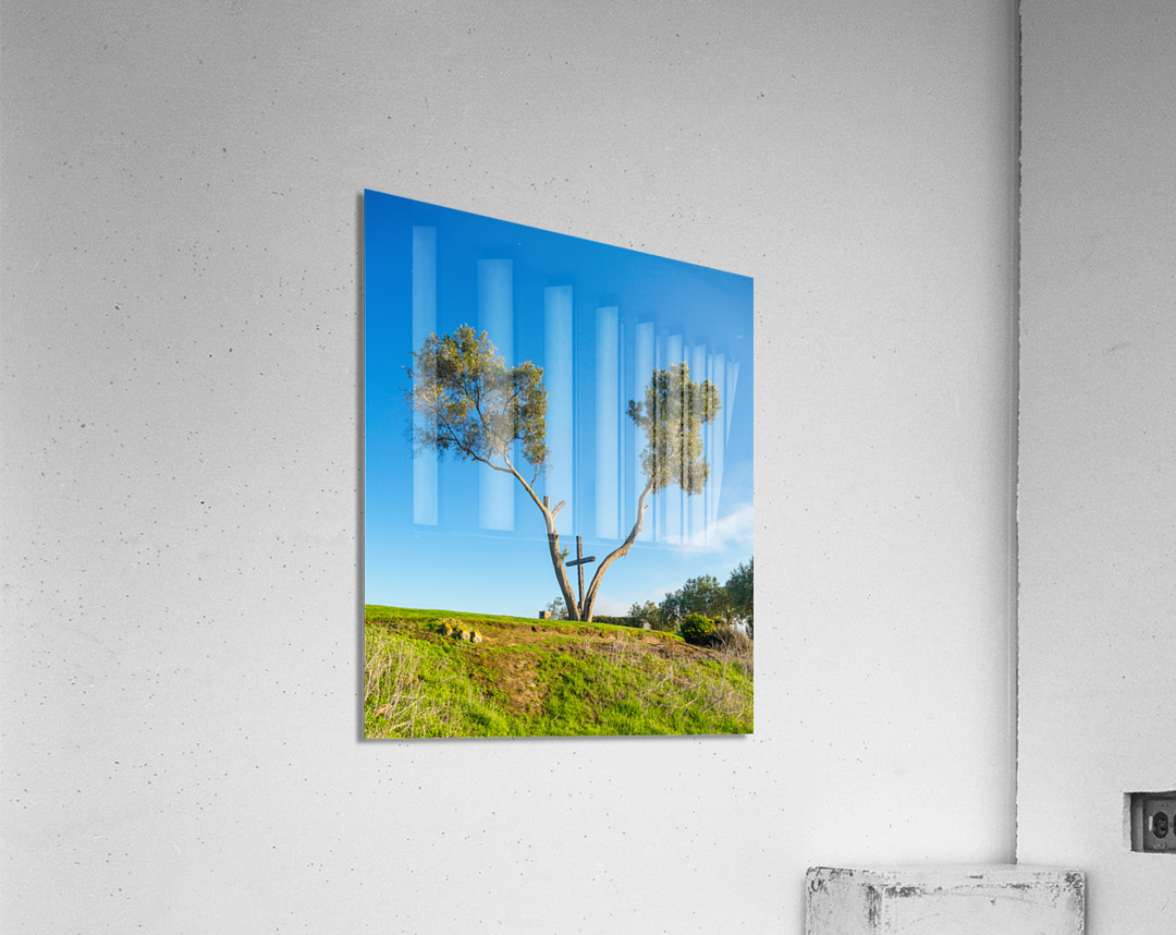 Serra Cross in Ventura California between trees  Acrylic Print 