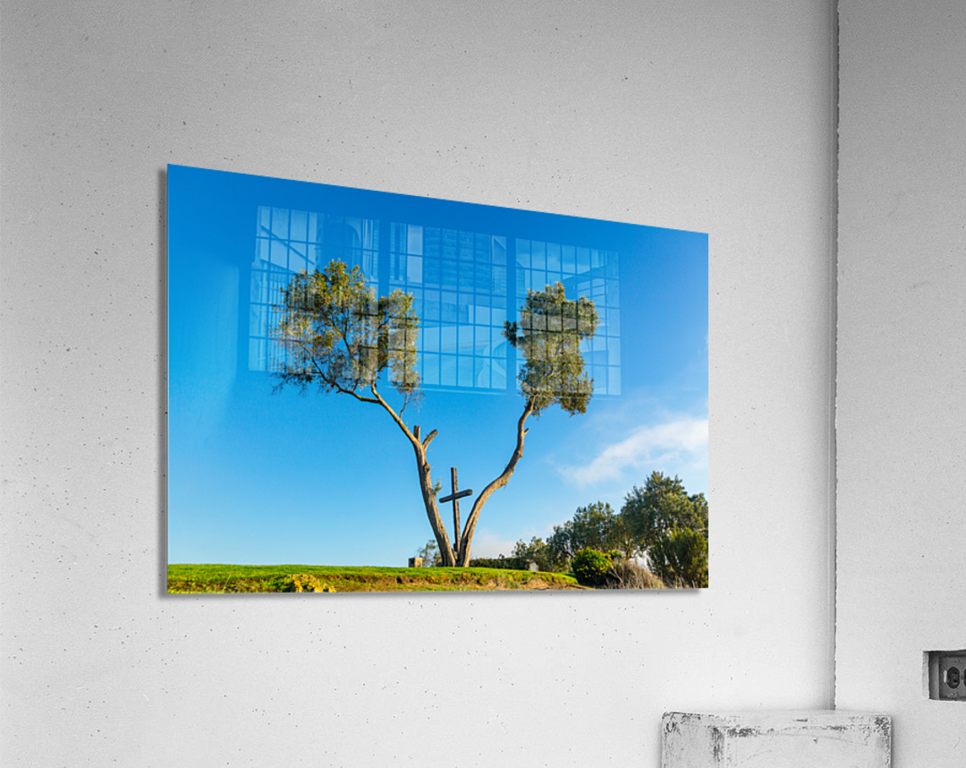 Serra Cross in Ventura California between trees  Acrylic Print 