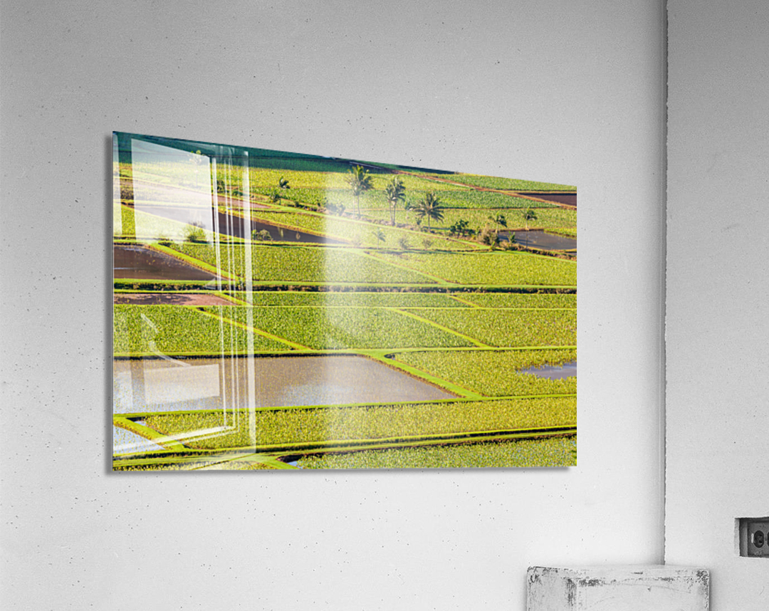 Hanalei Valley in Kauai Acrylic Print