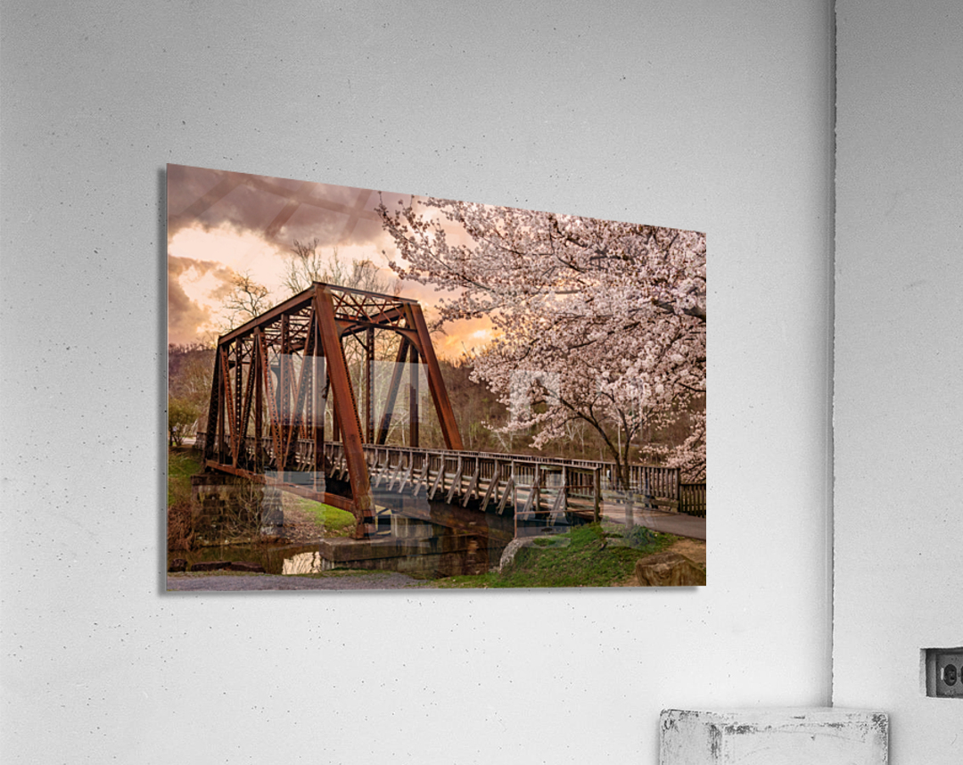 Sunset behind cherry blossoms in Morgantown WV Acrylic Print
