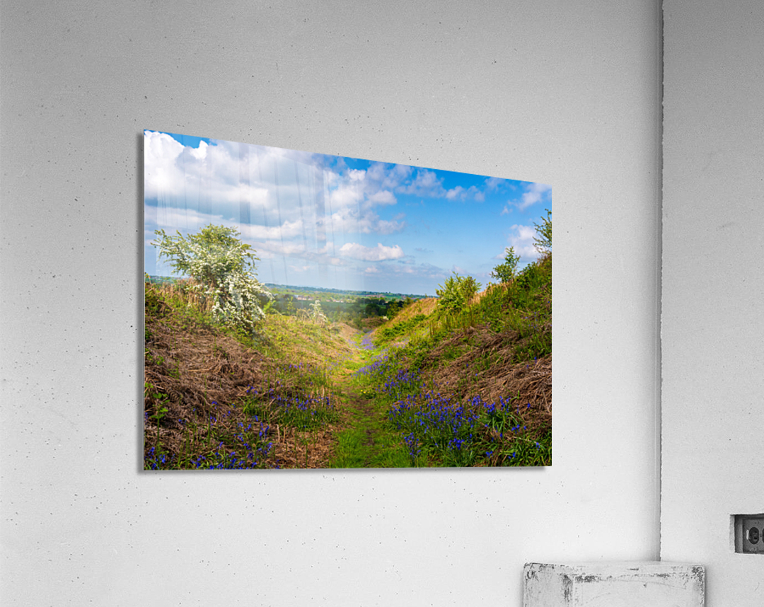 Bluebells by the path on Old Oswestry hill fort in Shropshire Acrylic Print