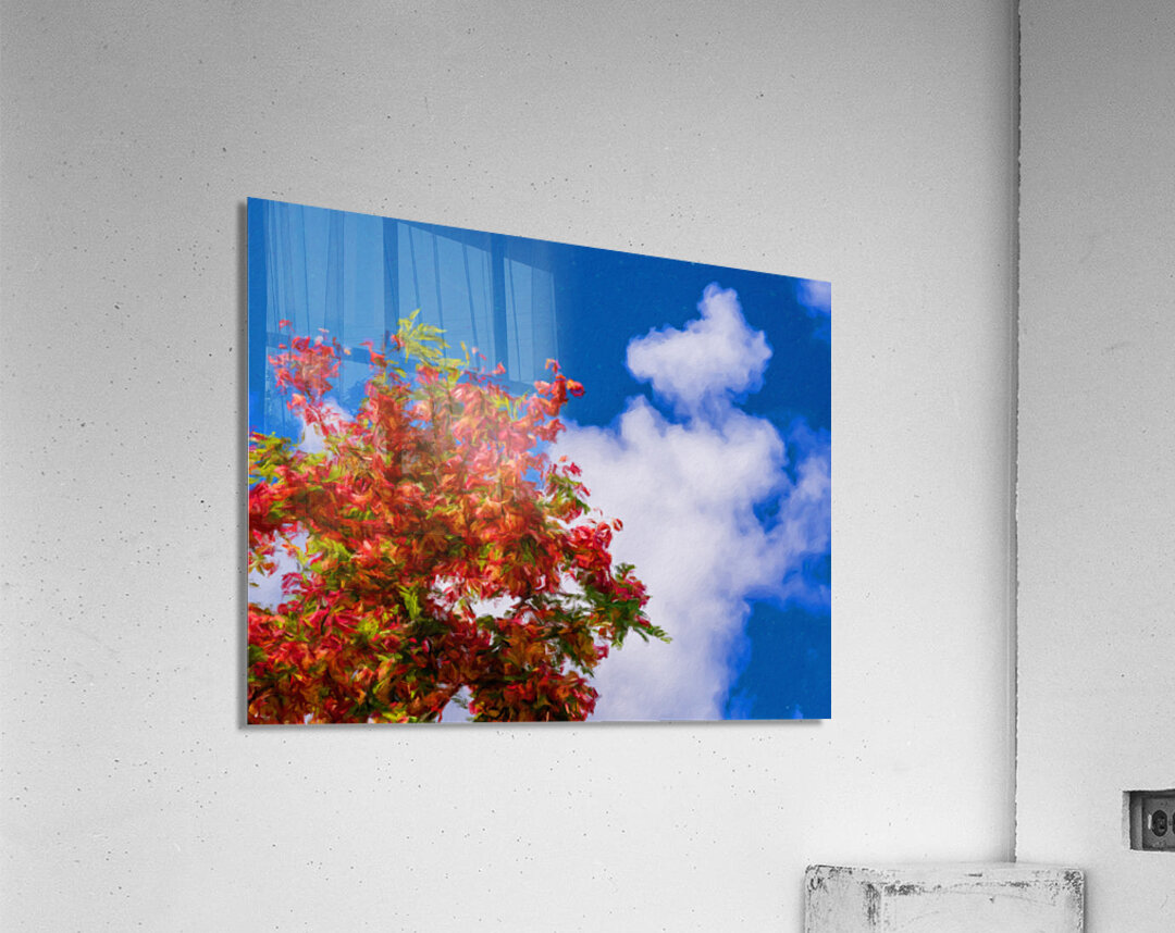 Impressionistic painting of rainbow shower tree blossoms Acrylic Print