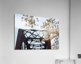 Spring blossoms by Steel girder bridge Morgantown  Acrylic Print