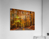 Road leading to Coopers Rock state park  Acrylic Print
