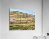 Terraced rows of vines by river Douro in Portugal  Impression acrylique