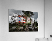 Fallen tree from Hurricane Maria in San Juan  Impression acrylique