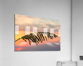 Sea Oats against rising sun in Florida  Impression acrylique