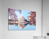 Beautiful early morning Jefferson Memorial  Acrylic Print