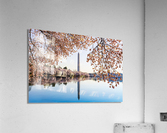 Washington Monument towers above blossoms  Acrylic Print