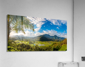 Hanalei valley from Princeville overlook Kauai  Impression acrylique