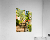 Famous 99 steps Charlotte Amalie  Impression acrylique