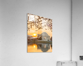 Cherry Blossom and Jefferson Memorial at sunrise  Impression acrylique