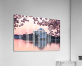 Cherry Blossom and Jefferson Memorial at sunrise  Acrylic Print