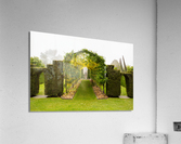 Laburnum Arch in full bloom over grass path  Acrylic Print