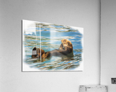 Digital pastel of Sea Otter floating in the sea  Impression acrylique