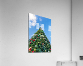 Large decorated external christmas tree  Acrylic Print