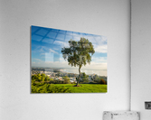 Panorama of Ventura from Grant Park  Acrylic Print