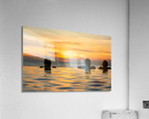 Silhouetted heads against infinity edge pool  Acrylic Print
