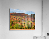Multi-colored hillside in Vermont during the fall  Acrylic Print