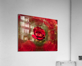 Close up of red rose bouquet with roses  Acrylic Print