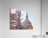 Cherry blossoms by the Capitol dome at dawn  Acrylic Print